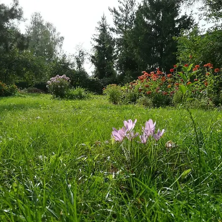 Spokojny Zakatek W Krulankach *